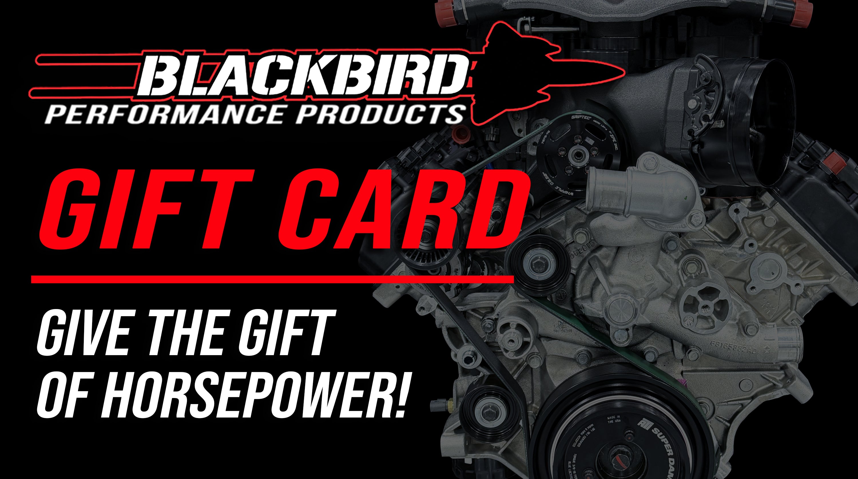 blackbird グッズ ② Blackbird Performance Gift Card
