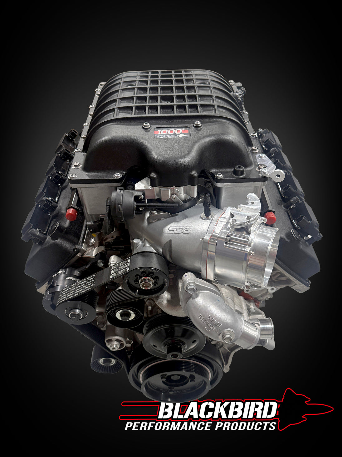 Black Rcing Engines Blackbird Performance 1000+ HP Race Spec Engine