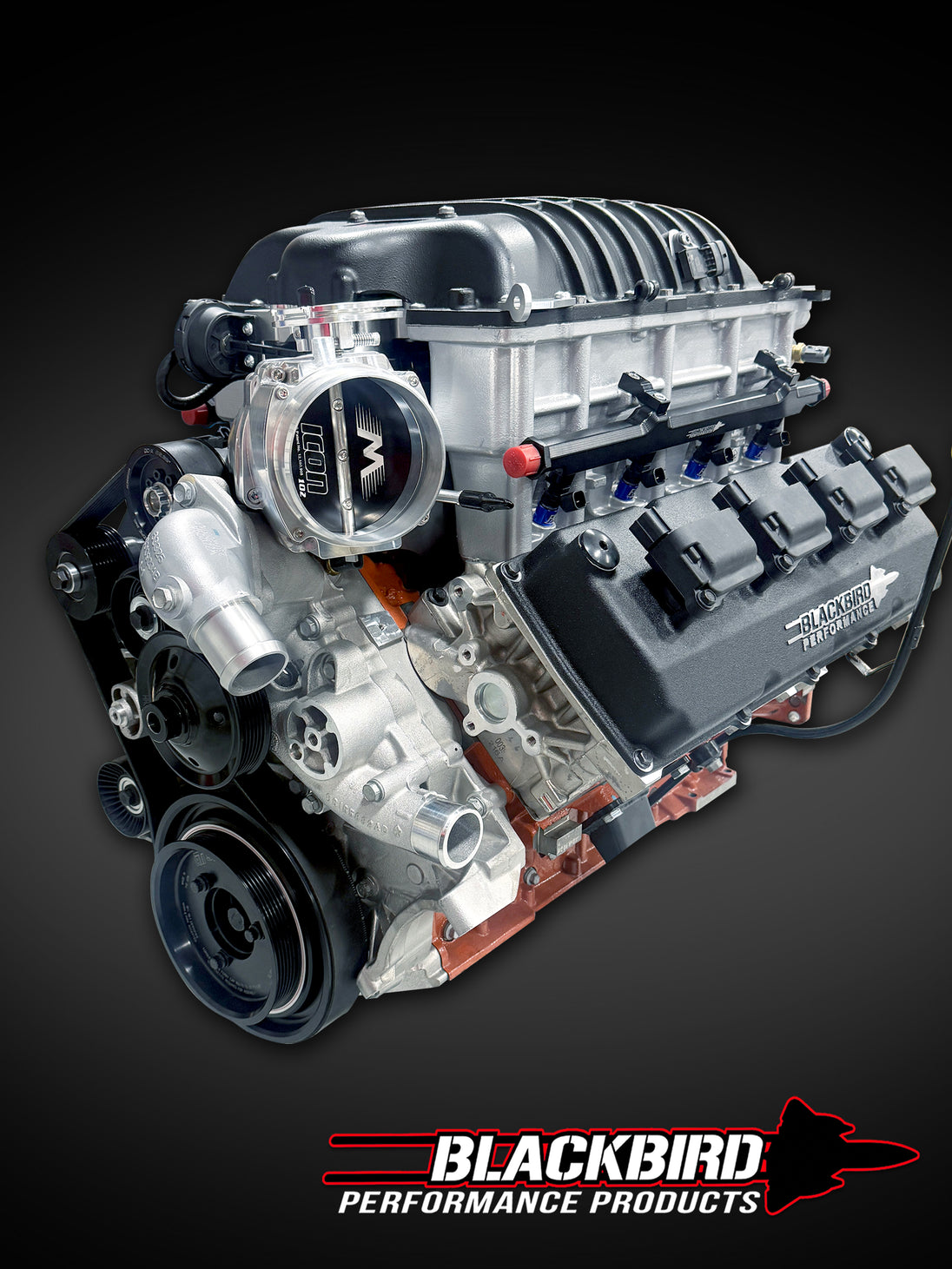 Black Rcing Engines Blackbird Performance 1000+ HP Race Spec Engine