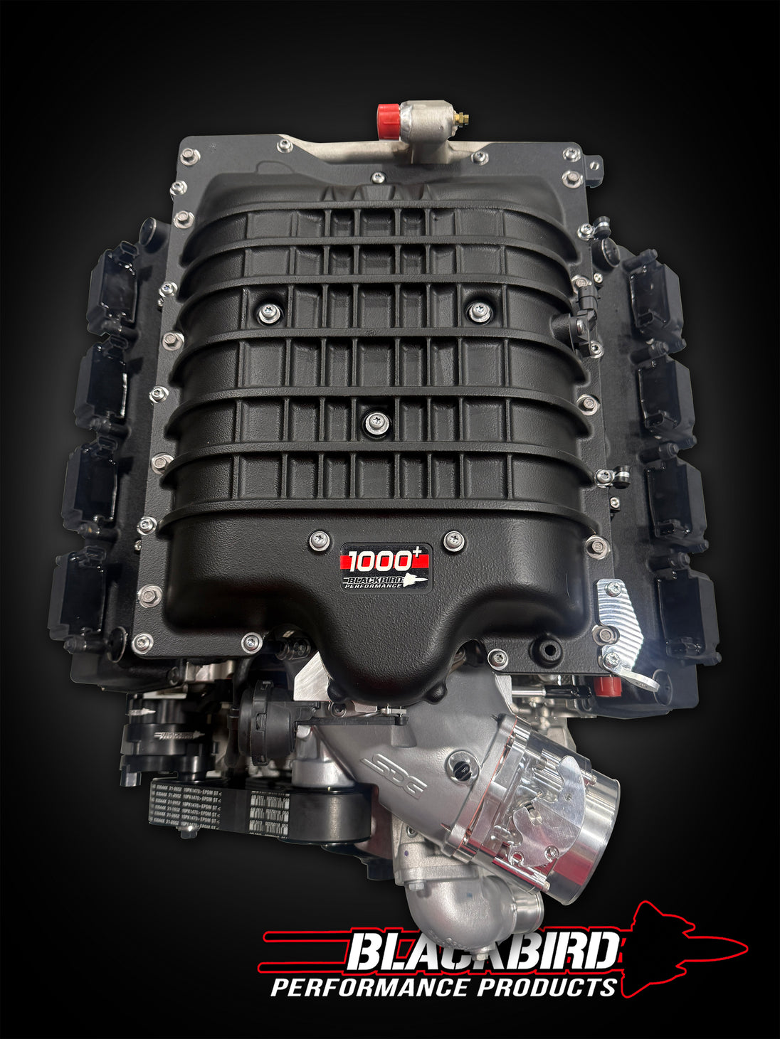 Black Rcing Engines Blackbird Performance 1000+ HP Race Spec Engine
